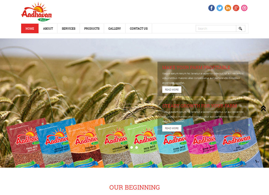 Cuddalore website Design Company Portfolio - Webmazz